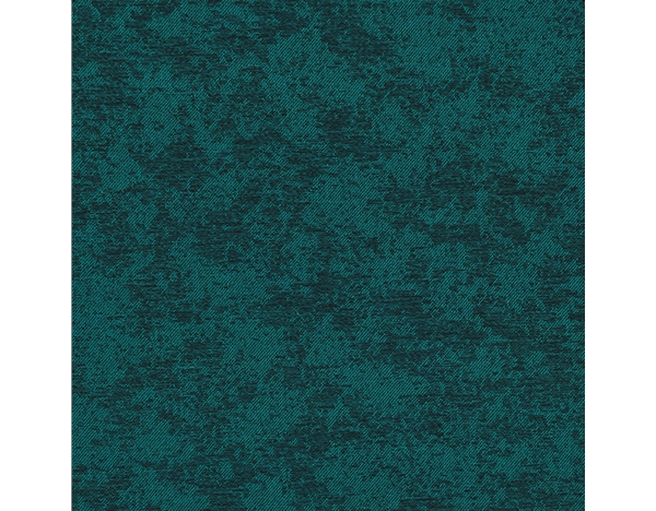 柯拉菲斯-树影-24