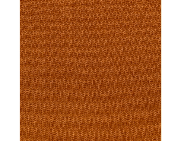 柯拉菲斯-米粒-13