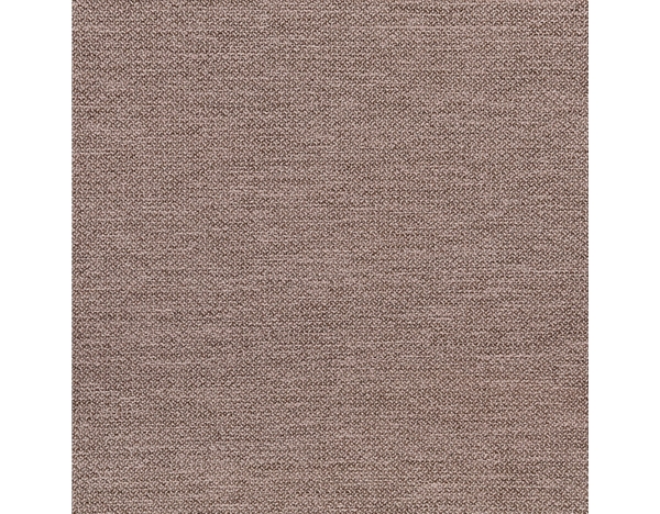 柯拉菲斯-米粒-10