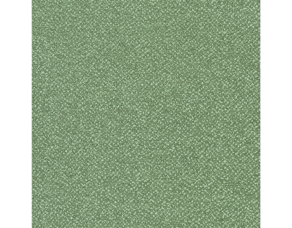 柯拉菲斯-星河-20