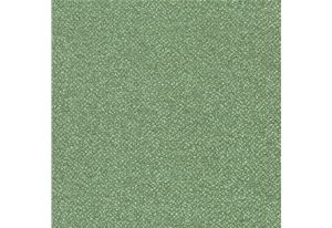柯拉菲斯-星河-20
